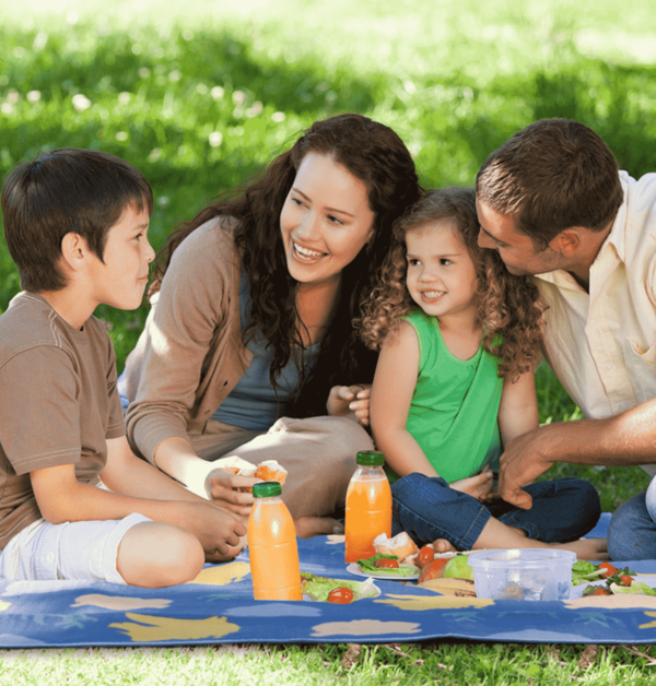 Thảm trải picnic du lịch gấp gọn NatureHike NH17Y020-L