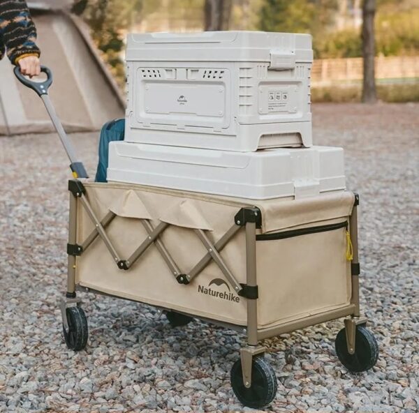 433045799_1606654133498345_5473666314801503750_n