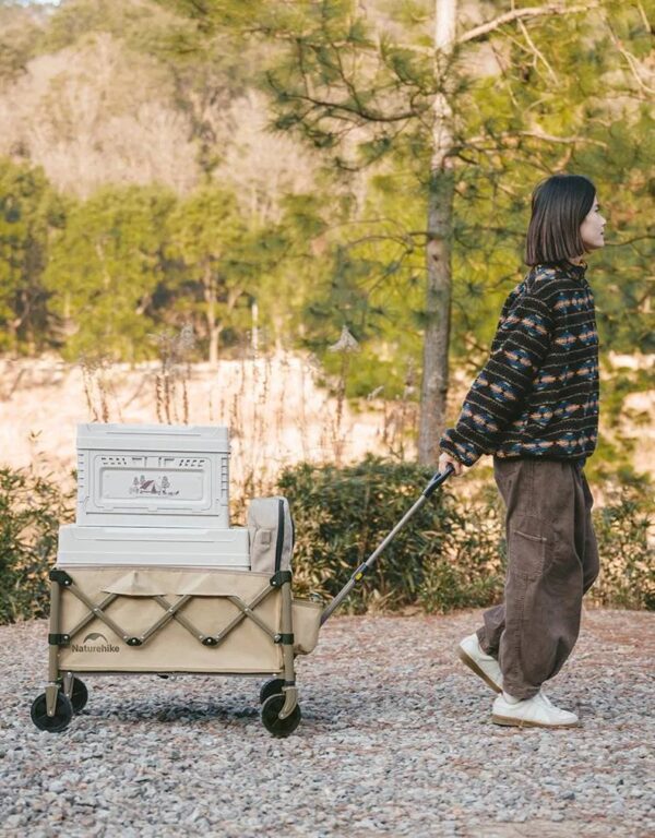 433050266_1606654243498334_7170585140277442248_n