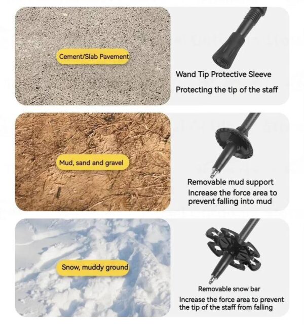 433091616_1607658313397927_7469164474958640455_n