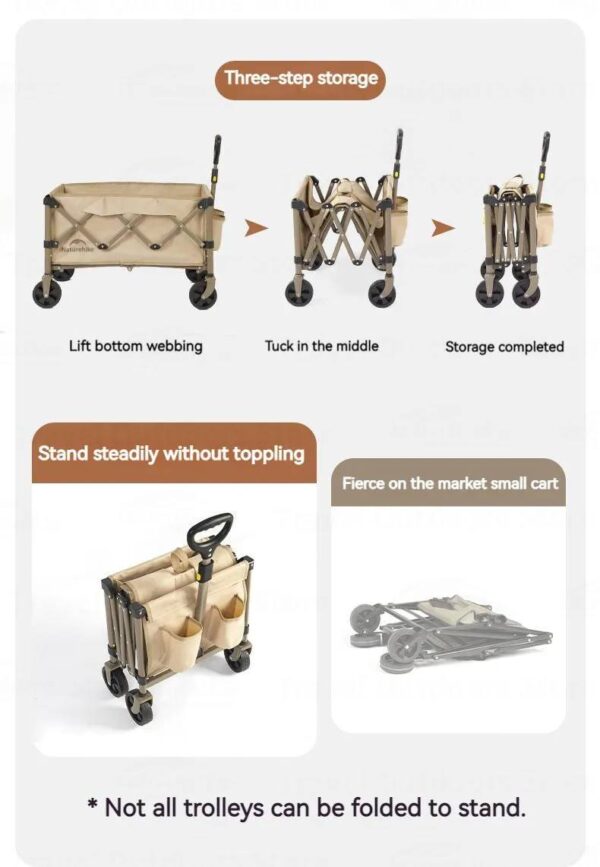 433098646_1606654110165014_4247130066369770160_n