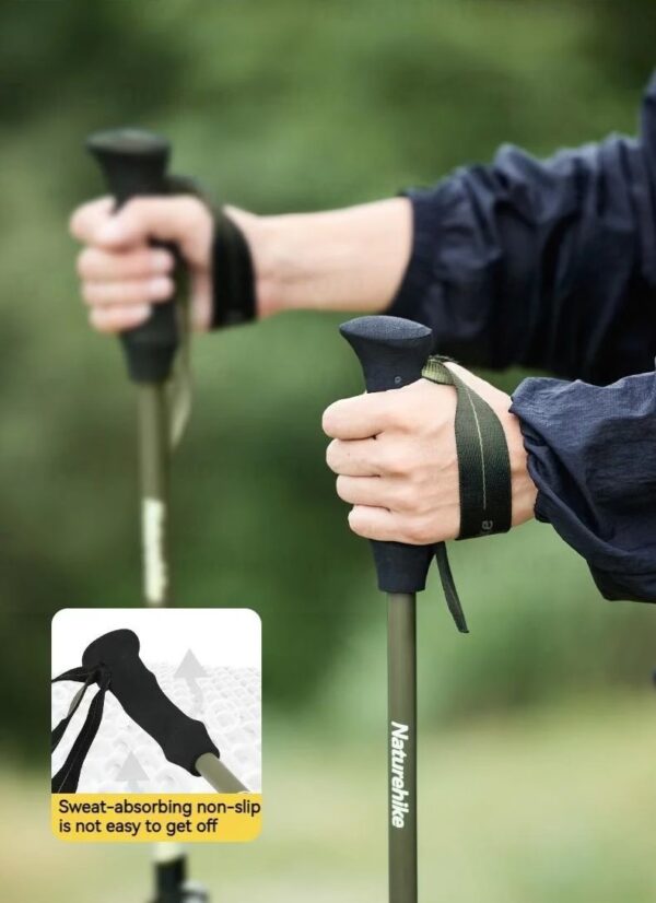 433121468_1607658150064610_3172124602465186347_n