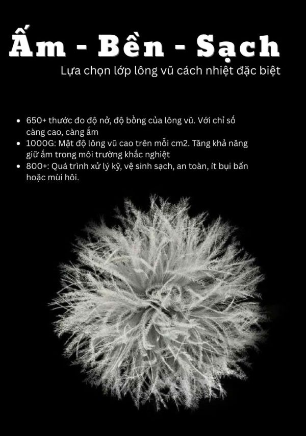 tui-ngu-long-vu-naturehike-cnk2550ws014-5